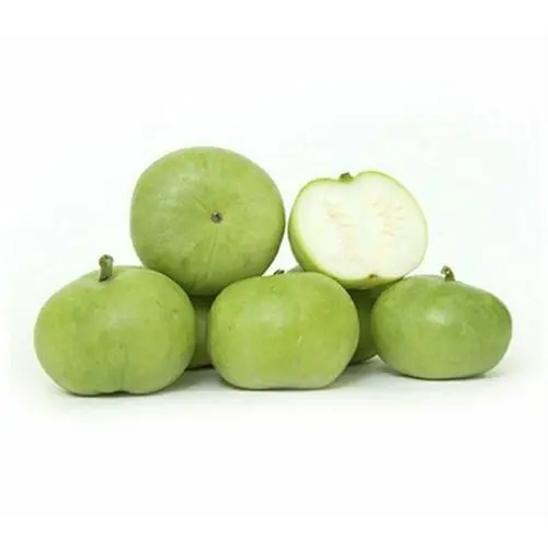 fresh-tinda-1000x1000.webp