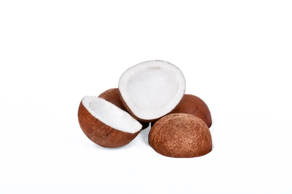 dried-coconut-copra-1000x1000.webp