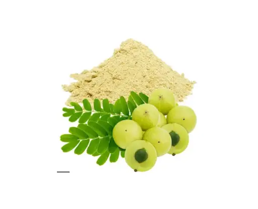 KRG Amla Powder - 100g